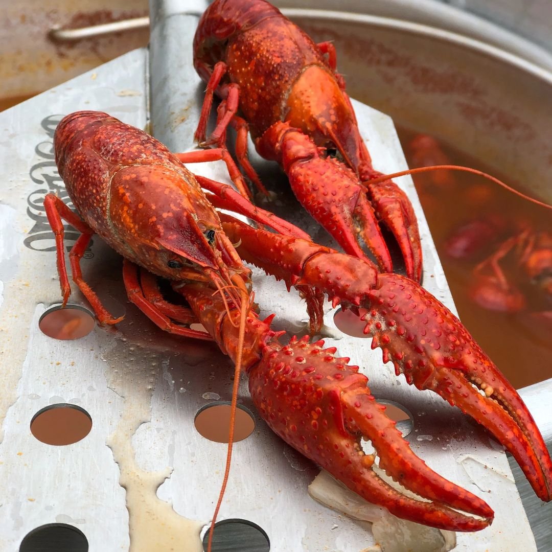 Bayou 18-in Dual Jet Cooker - SP2