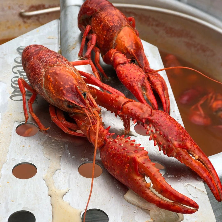 Bayou 18-in Dual Jet Cooker - SP2