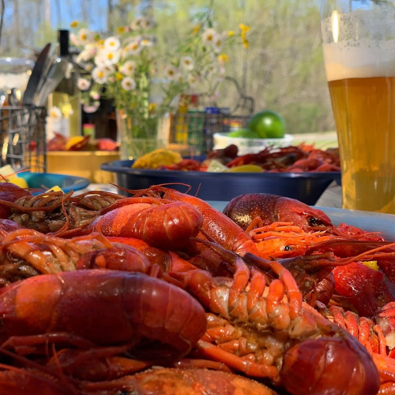 22-in Stainless Bayou® Banjo Cooker - SAB6