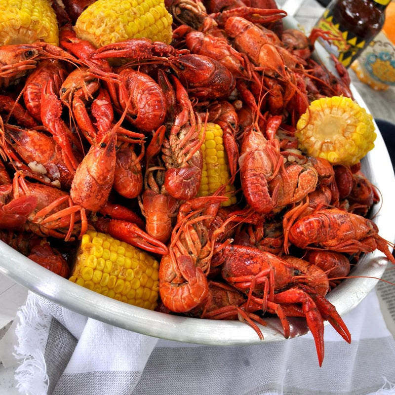 Bayou 18-in Dual Jet Cooker - SP2