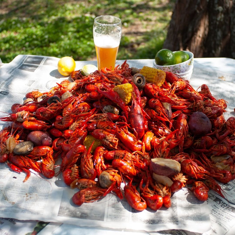 22-in Stainless Bayou® Banjo Cooker - SAB6