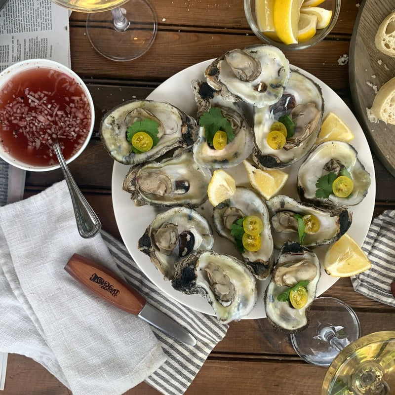 Bayou Stainless Steamer Kit - KDS-151