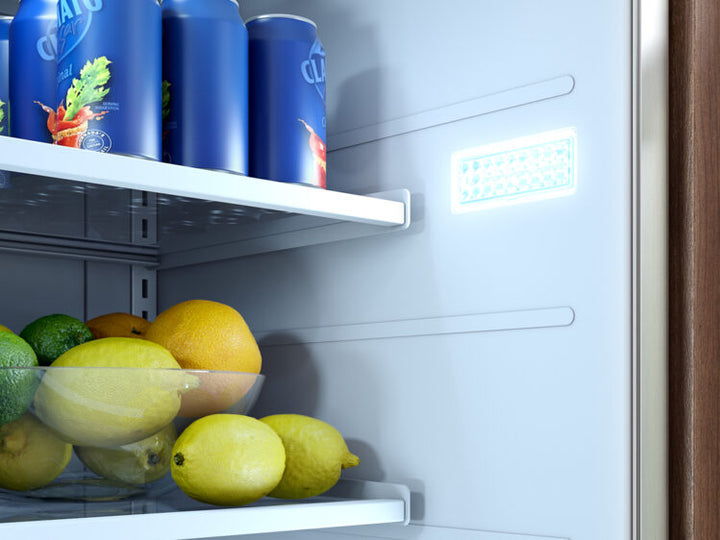 Zephyr Presrv 24" Outdoor Refrigerator - PRR24C01AS-OD