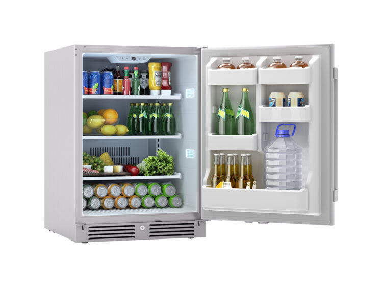 Zephyr Presrv 24" Outdoor Refrigerator - PRR24C01AS-OD