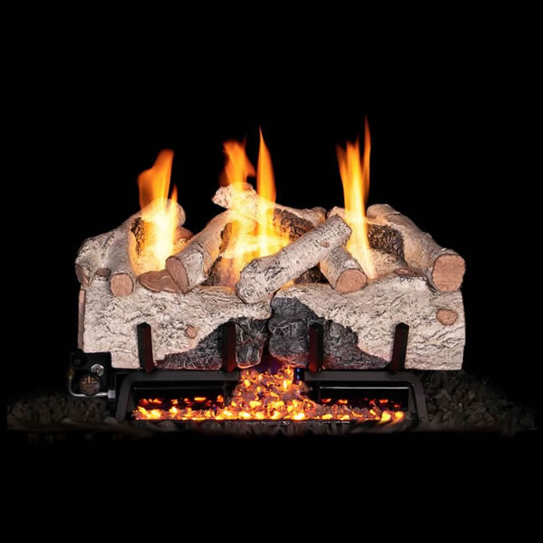 Real Fyre Charred Alpine Birch Ventless Gas Log Set - Natural Gas